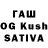 Галлюциногенные грибы Cubensis Kivrosa
