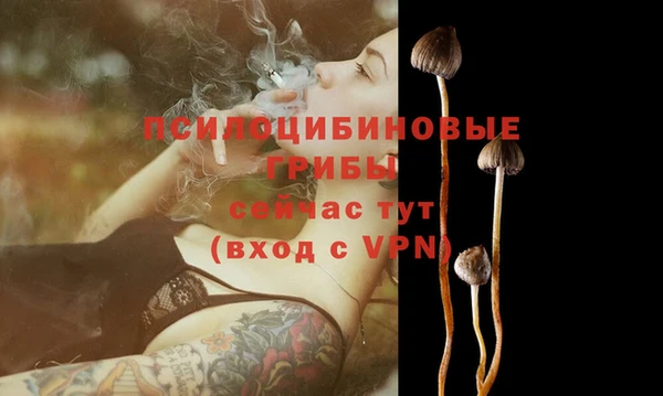 амф Алзамай